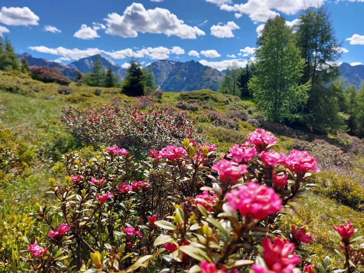 Haus Edelweiss Spiss Bei Samnaun Villa Buitenkant foto