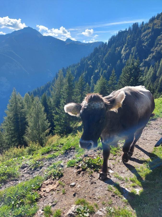 Haus Edelweiss Spiss Bei Samnaun Buitenkant foto